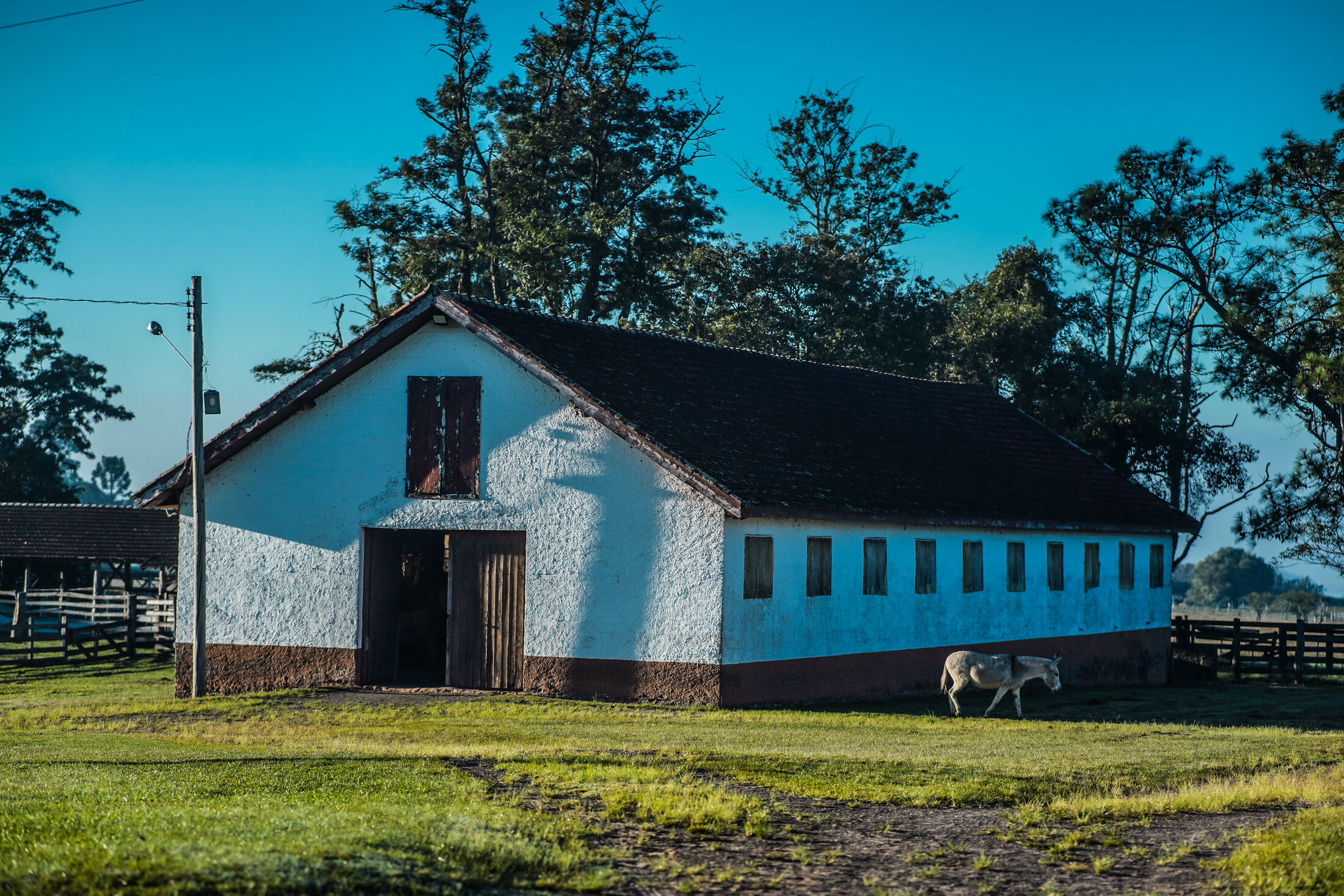 Fazenda Leão — DSC08625.jpg