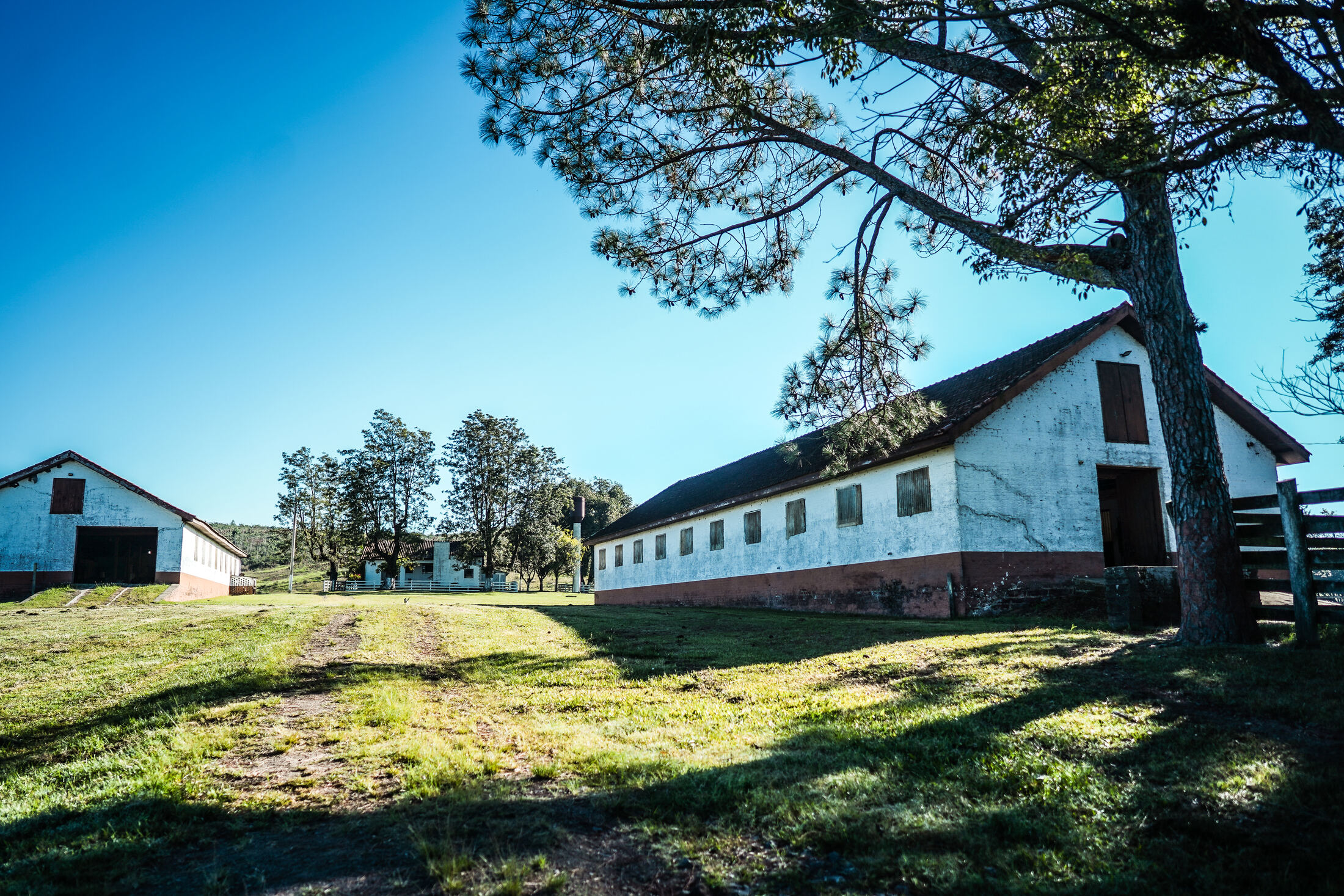 Fazenda Leão — DSC08642.jpg